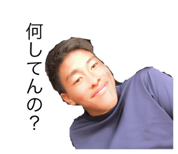 291118074