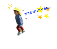 291120073