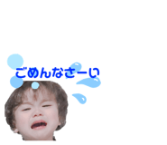 291120075