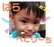 291121731