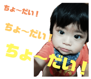 291121733