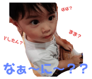 291121735