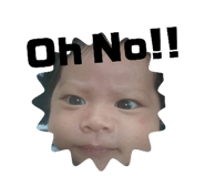 291121738