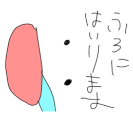 291162851