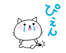 291203111