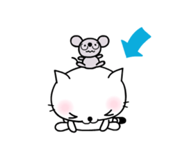 291203114
