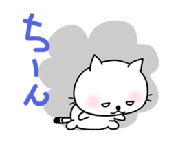 291203126