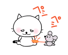 291203131