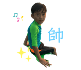 291247990