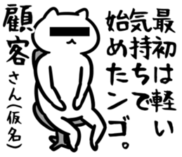 29125411