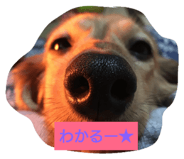 29125716