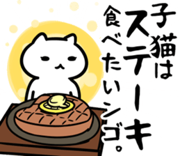 29125795