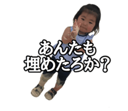 291264668