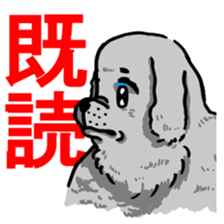 291268