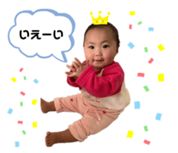 291333039