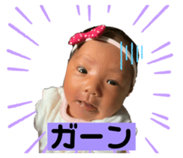291333051