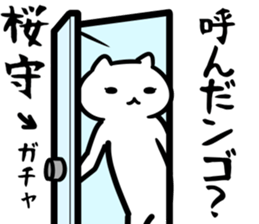 29134554