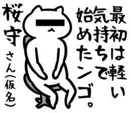 29134587