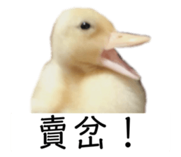 291359899
