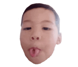 291363414
