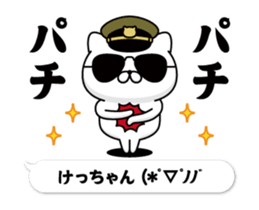 291378216