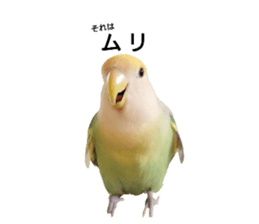 29138843