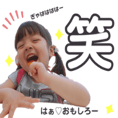 291404158