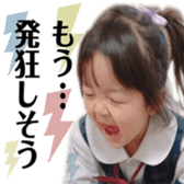 291404161
