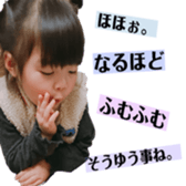 291404168
