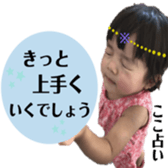 291404169