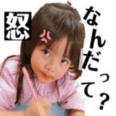291404172