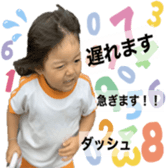 291404177