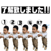 291404339