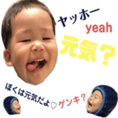 291404345