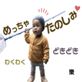 291404350