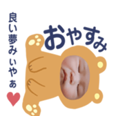 291404353