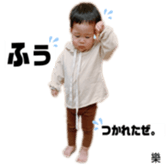 291404355