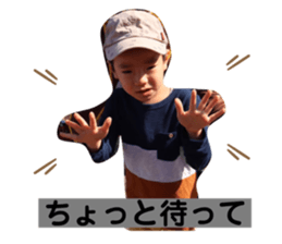 291407567