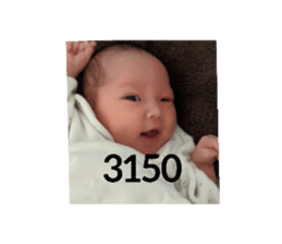 291409776