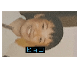 291410769