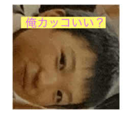 291410771