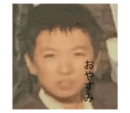 291410773