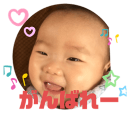 291415393