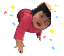 291440533