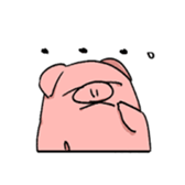 291440916