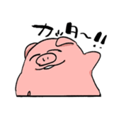 291440917