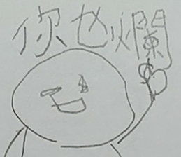 291454559