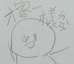 291454561