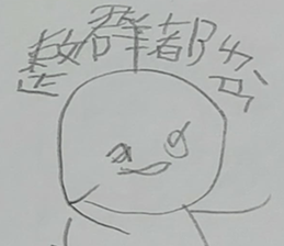 291454564
