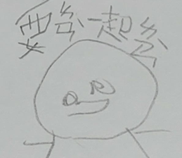 291454565
